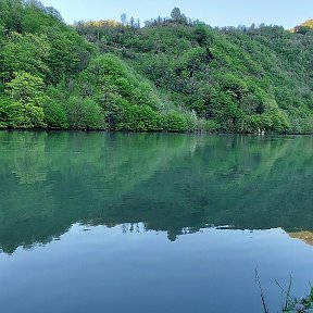 Фотография от Грузин GEORGIA