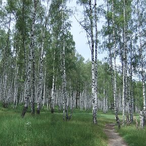 Фотография от Людмила Доброва (Смоленцева)