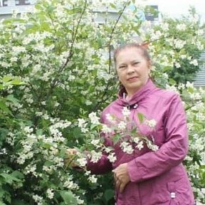 Фотография от Галина Пономарева Перемитина