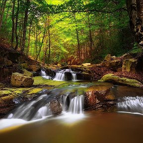 Фотография от Ирина Поливода (Брябрина)