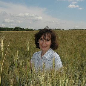 Фотография "Лето 2013, последнее мирное лето..."