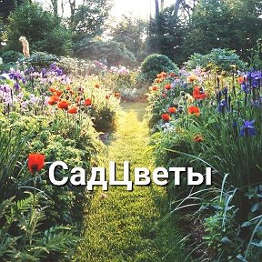 Фотография от СадЦветы СадЦветы