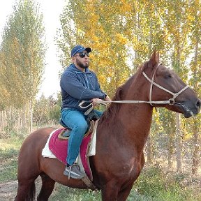 Фотография от 🧔 Назиров🧔