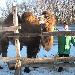 Фотография от владимир добрынин