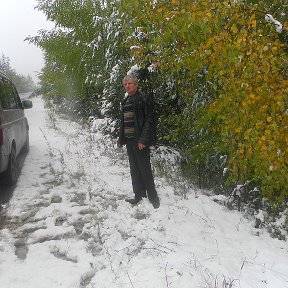 Фотография "осень золотая"