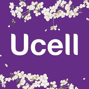 Фотография от Ucell Web Team