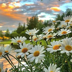 Фотография от Татьяна Райс Васильева