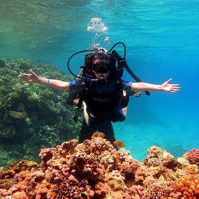 Фотография "Изучаю подводный мир Красного моря!"