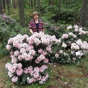 Фотография от Лариса Огороднюк Степиня