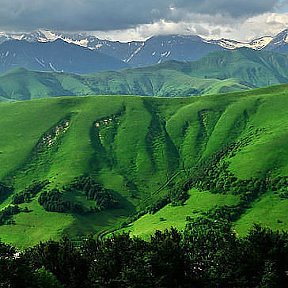 Фотография от Ali Yusufi