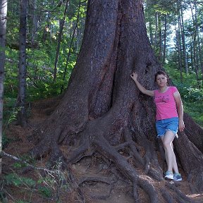 Фотография от Татьяна Белошицкая (Данилова)