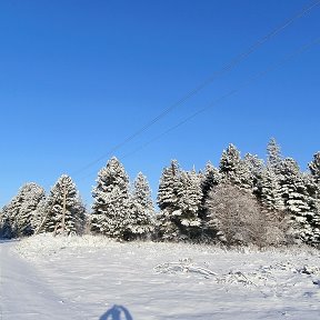 Фотография "Красотища"