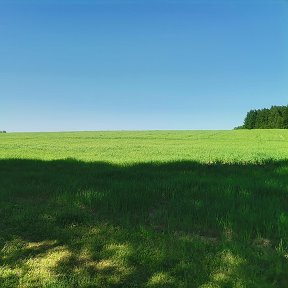 Фотография от Валентина Савчук ( Петрачкова)