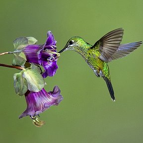 Фотография от Елена Мерзликина