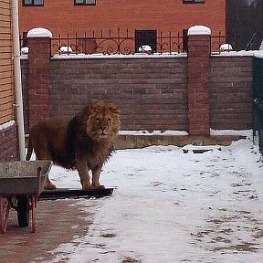 Фотография от Осман Гаджиев