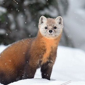 Фотография от Евгений Сизов