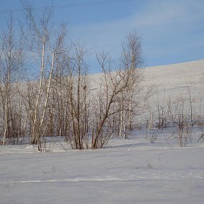 Фотография от Андрей Перцев