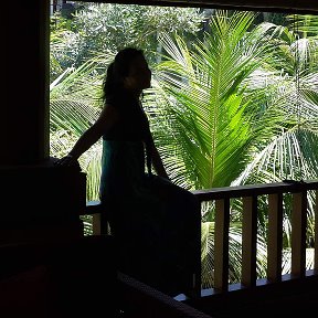 Фотография "Первое утро на Бали"