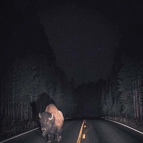 Фотография от Сергей Фёдоров