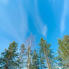 Фотография от Галина Тарасевич (Гаврилица)