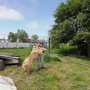 Фотография от ПРОСТО НАТАЛИЯ