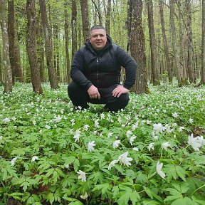 Фотография от Дима Артушевский