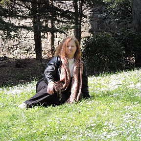 Фотография "Весна 2015. Маргаритки в Воронцовском парке."