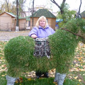 Фотография от Татьяна Дергачёва