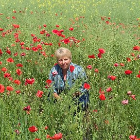 Фотография от Татьяна Кушнир Каменева(Пономарева)