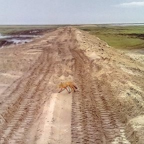 Фотография от Павел Черний