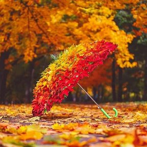 Фотография от Галина Токаева