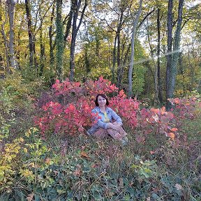 Фотография "Осенние краски, багряные листья кустарников...Луч солнца. Это был не поход, а сплошная динамическая медитация на несколько часов...До сих пор впечатления захватывают..."