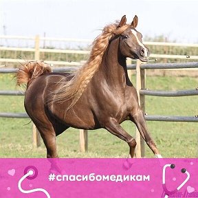 Фотография от Михаил С 🙋т🏇