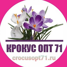 Фотография от Крокус опт 71 Crocusopt71