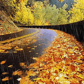 Фотография от road to autumn
