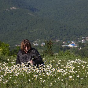 Фотография "Так хочется попасть в ромашковое детство! Хоть на миг..."