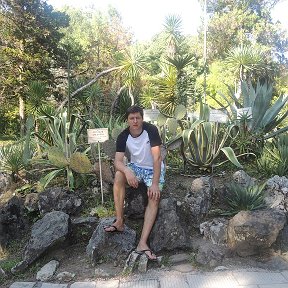 Фотография "Ботанический сад.Сухум.Абхазия"