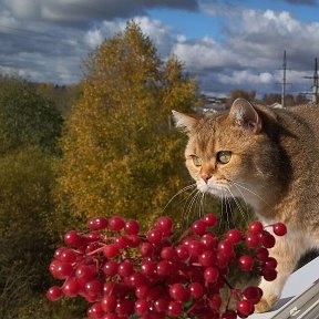 Фотография от Марина Плеханова