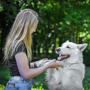 Фотография от сеть ветаптек КЗВС