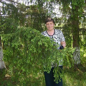 Фотография от Татьяна Сухарева (Сараханова)