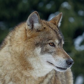 Фотография от Сергей Яковлев