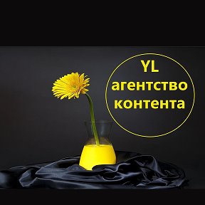 Фотография от YL-агентство Контент Копирайт