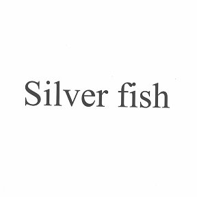 Фотография от Silver fish