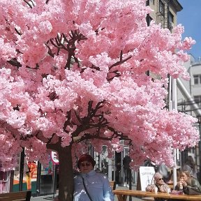 Фотография от Люба Бикерт-Купряшкина