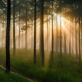 Фотография от Георгий Бутузов