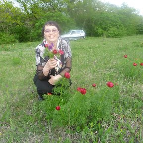 Фотография от Людмила Березина (Вихарева)