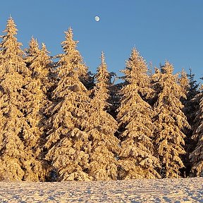 Фотография от Татьяна 😃