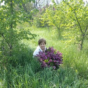 Фотография от Лидия  Савенко 