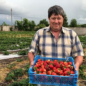 Фотография "Первый урожай 2021"