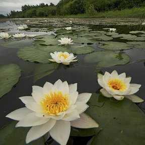 Фотография от KAMRONBEK FAXRIDINUVICH